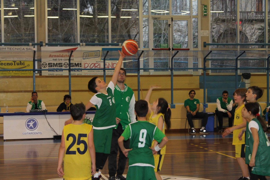 aquilotti tarcento basket