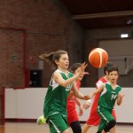 aquilotti minibasket tarcento