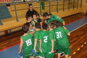 aquilotti minibasket tarcento ba