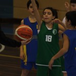 aquilotti minibasket tarcento basket gemona