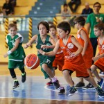 Gli aquilotti minibasket del tarcento