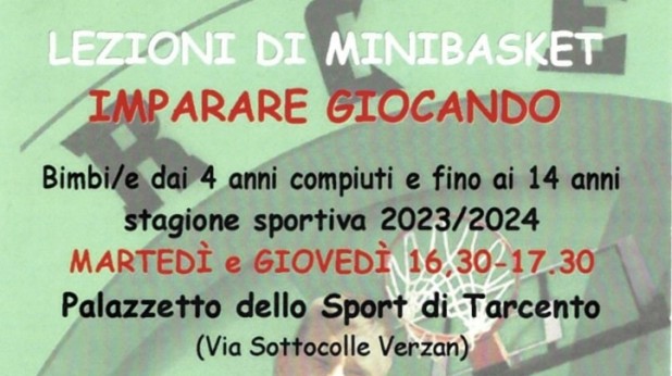 Lezioni di Minibasket!